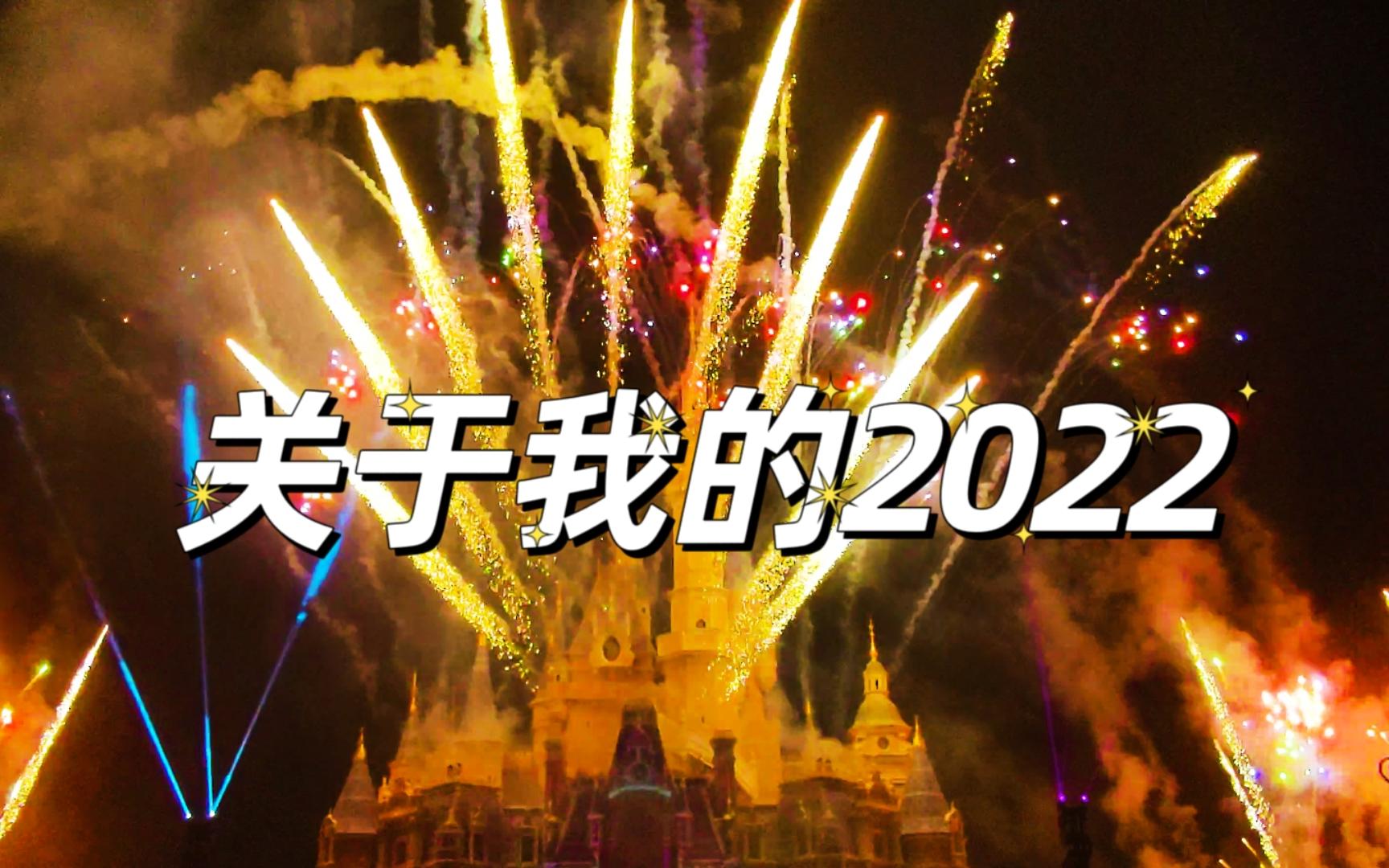 [图]【年度总结】我的2022，我独特的21岁人生