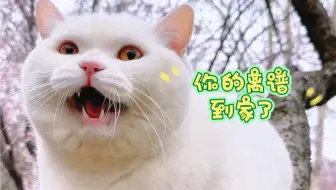 离谱妈给离谱开门离谱到家了