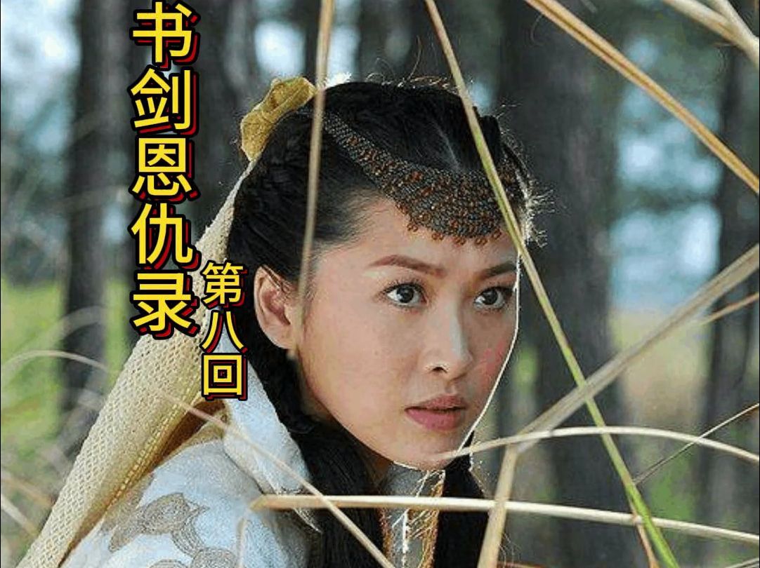书剑恩仇录-第八回