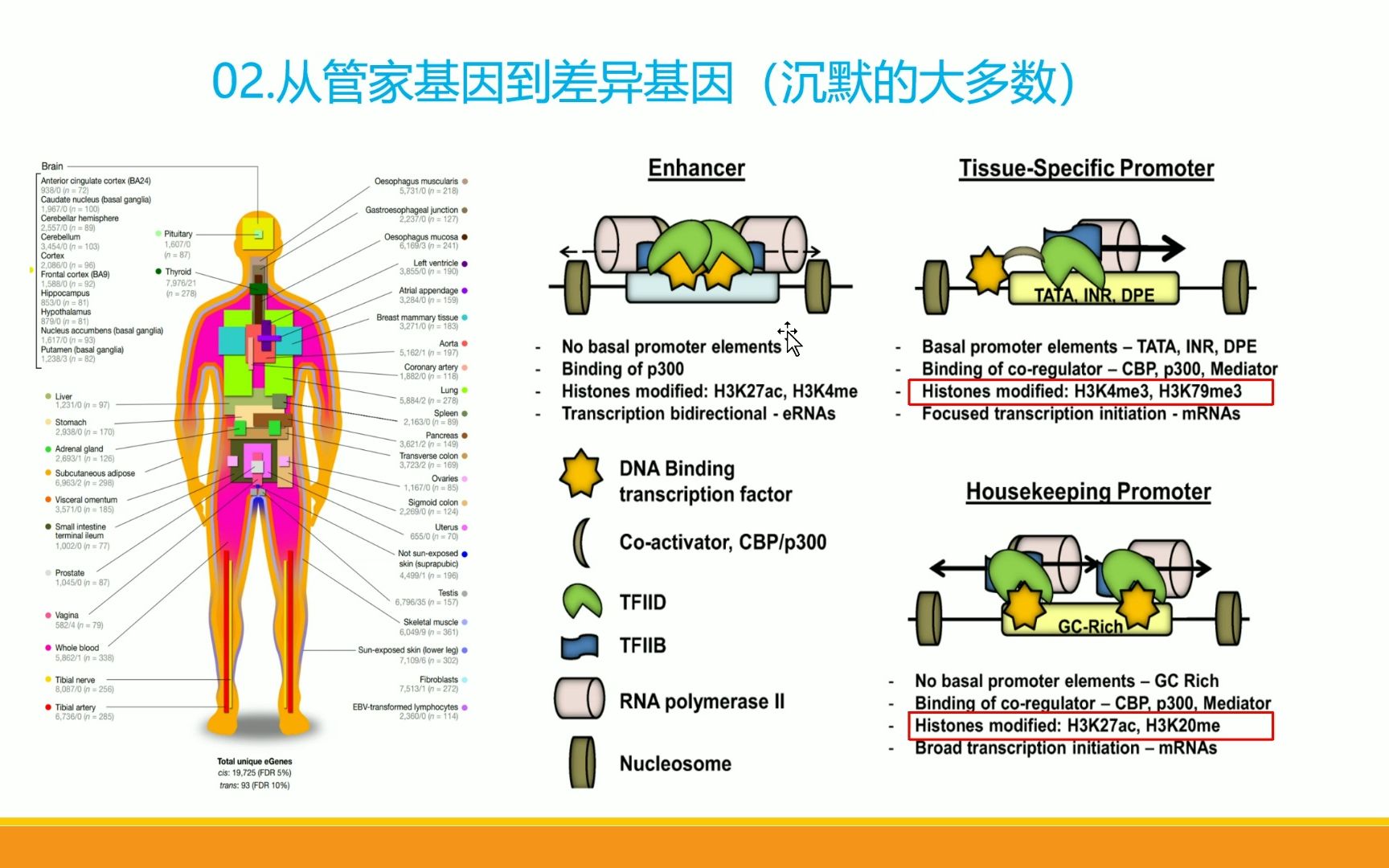 癌生物学02.管家基因与差异基因哔哩哔哩bilibili