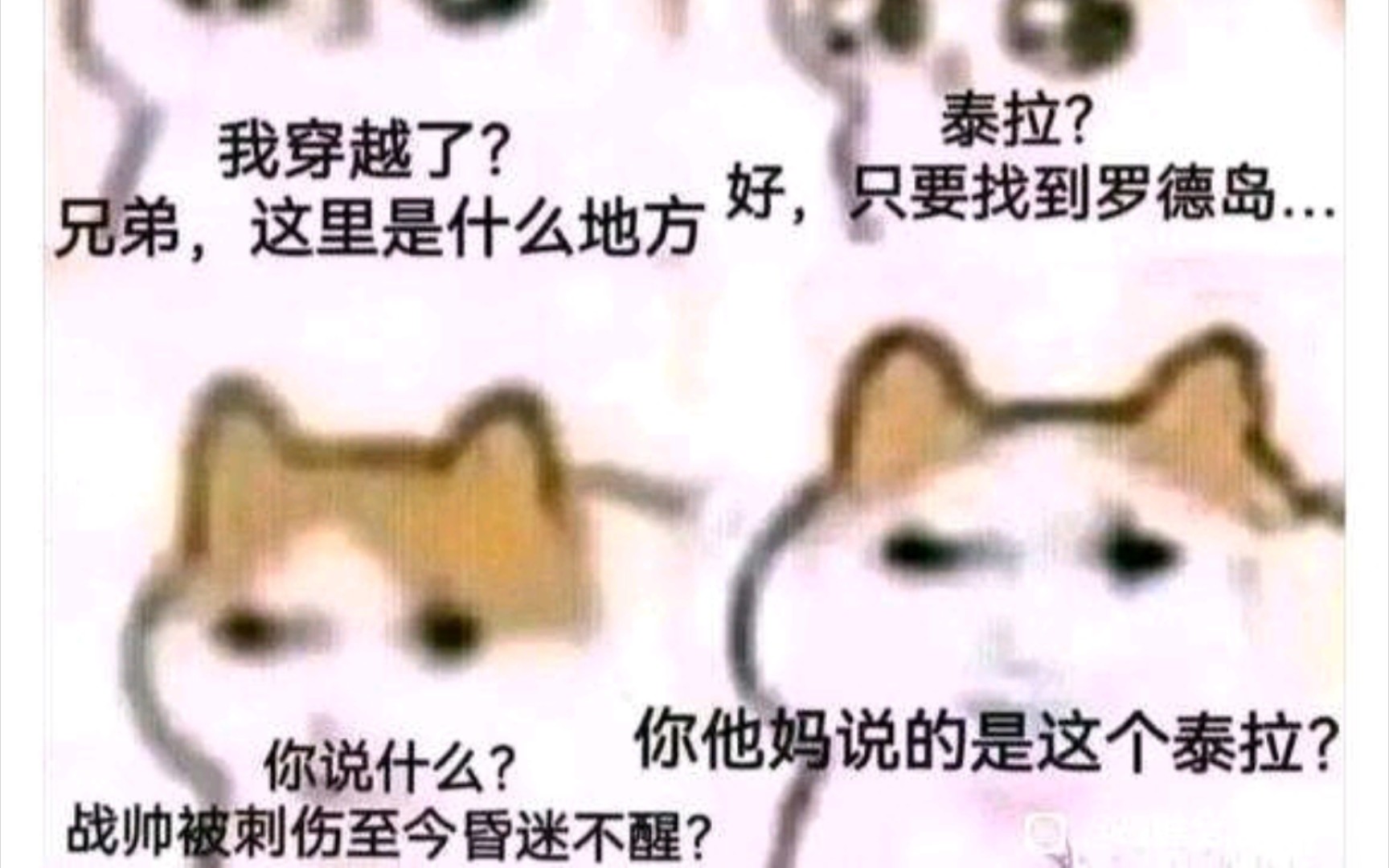 龙猫梗图加长版哔哩哔哩bilibili