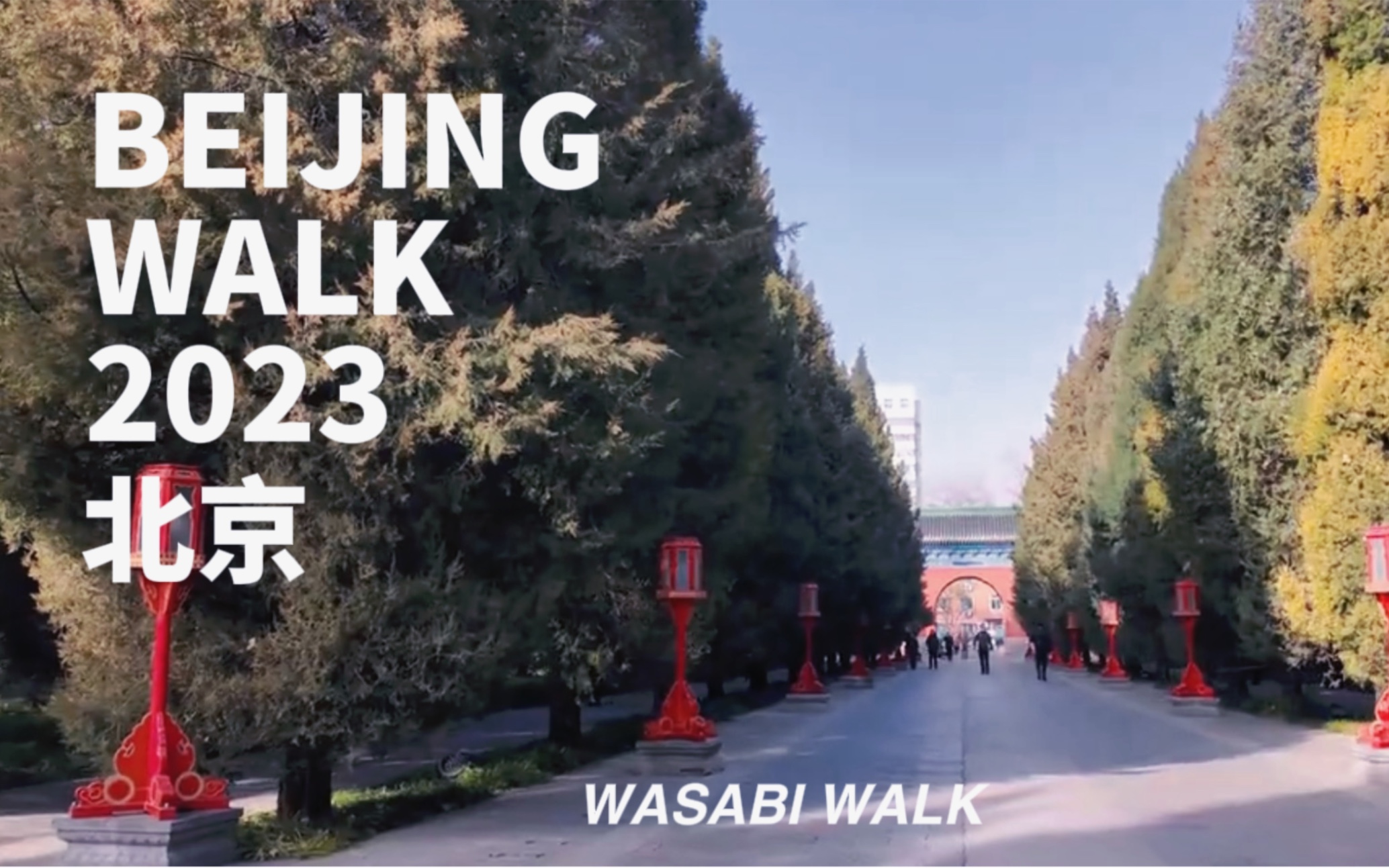 Beijing Walk | 北京月坛公园下午散步趣, 北京著名的古典园林之一 | 云旅行 环境音 静默散步 2023[4K]哔哩哔哩bilibili