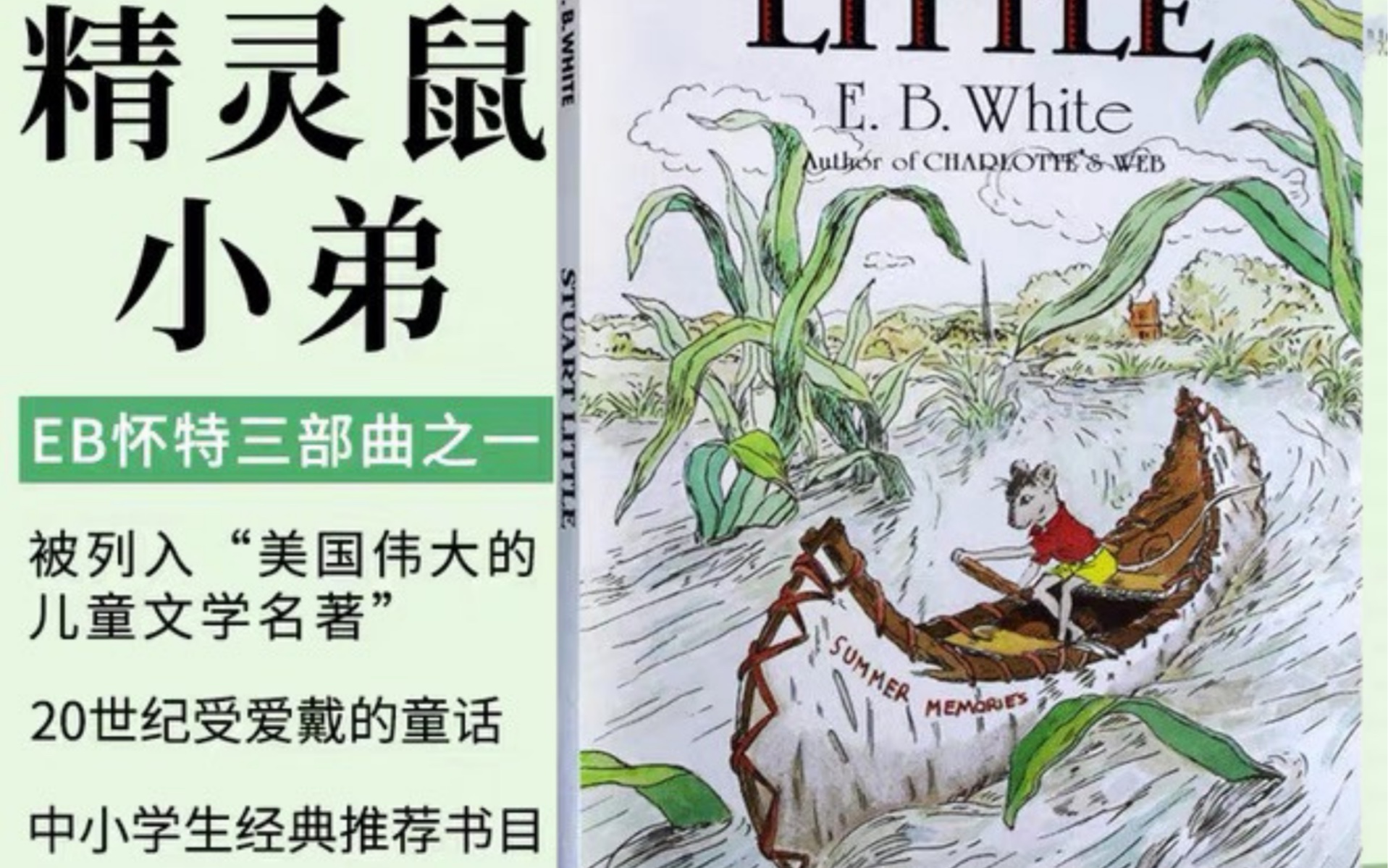 [图]有声书·故事绘｜EBwhite《Stuart little》I In the Drain