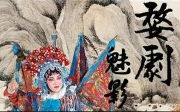 [图][地方戏曲]【婺剧】：婺剧珍藏精选合集三[共14部]