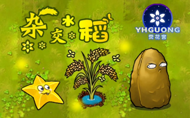 [图]PvZ 杂交水稻 —— 春种一粒粟，秋收万颗子.