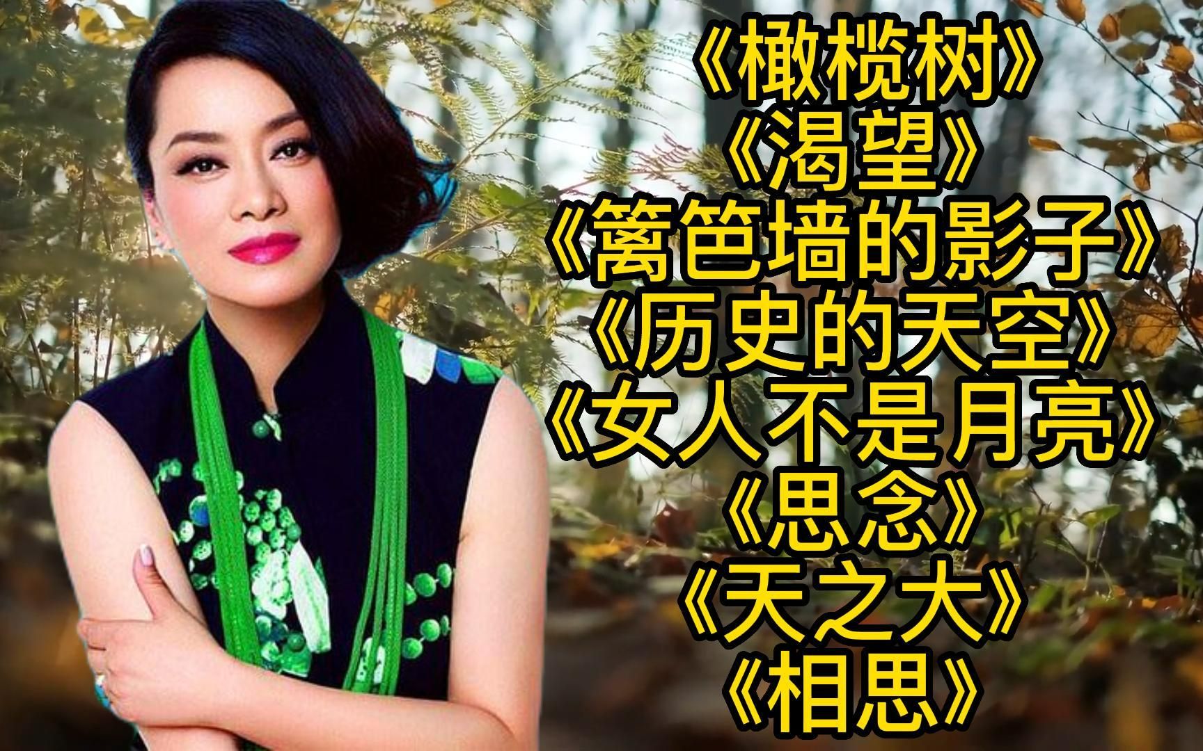 [图]毛阿敏<橄榄树><篱笆墙的影子><渴望><历史的天空><女人不是月亮>