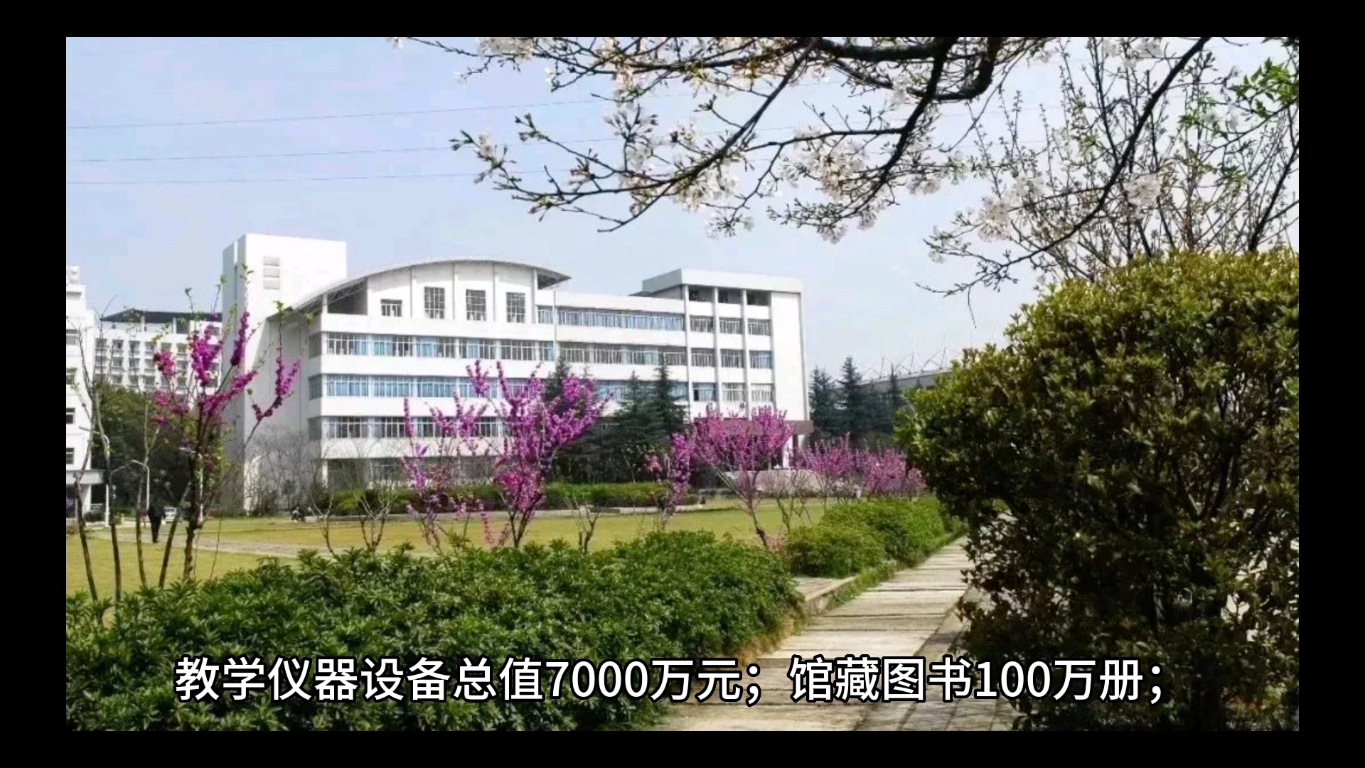 湖南都市职业学院:五年制大专班学费是多少?有哪些专业哔哩哔哩bilibili