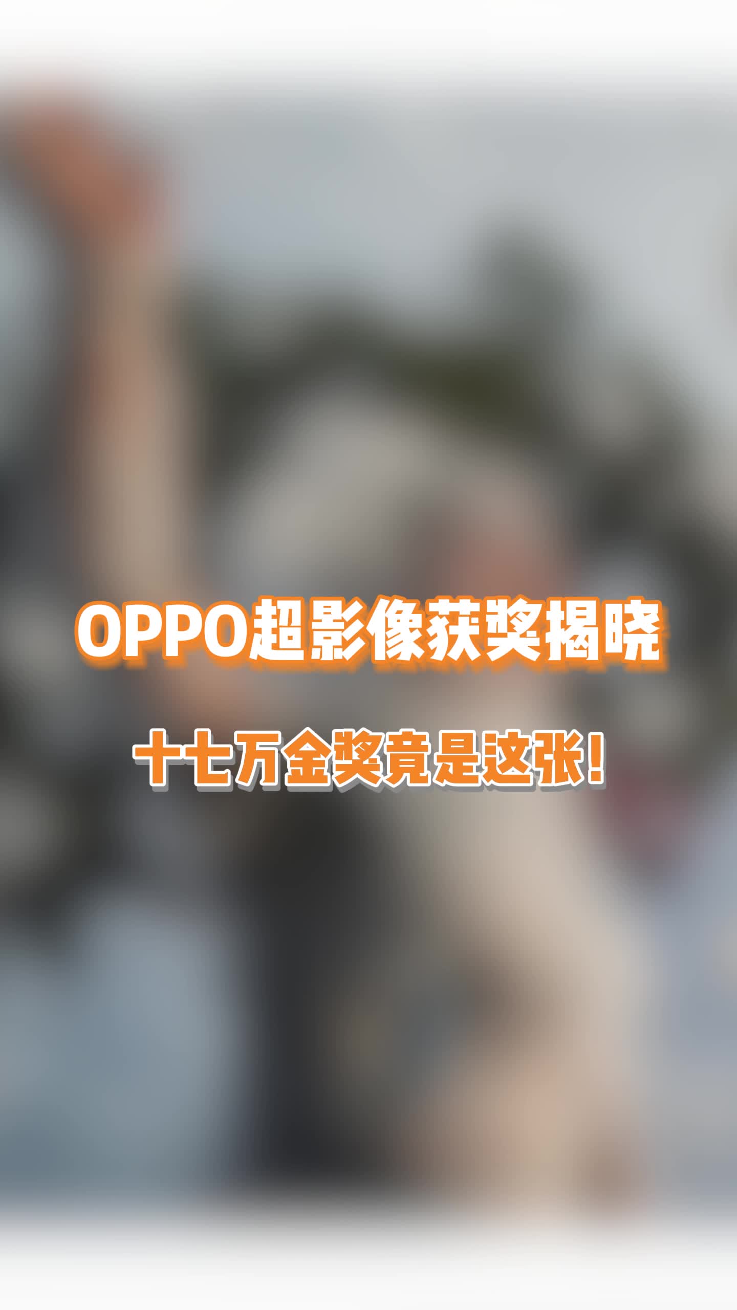 我想评论区任何一位拍的照片都比这个金奖拍得好!不信你来试试