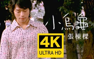 Download Video: 【4K修复】张栋梁 - 小乌龟(电视剧《微笑Pasta》插曲) MV 2160P修复版