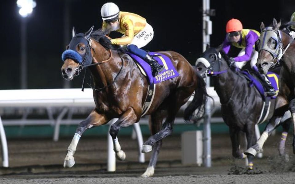 【日本赛马】2022.06.