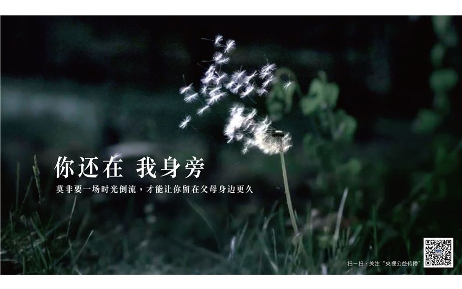 [图]【渣弹】time flows away（央视公益广告《时光倒流篇》背景音乐）