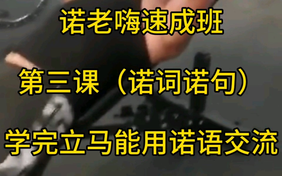 【诺老嗨速成班 第三课 诺言&诺语】再也不怕不懂梗被人看不起了哔哩哔哩bilibili