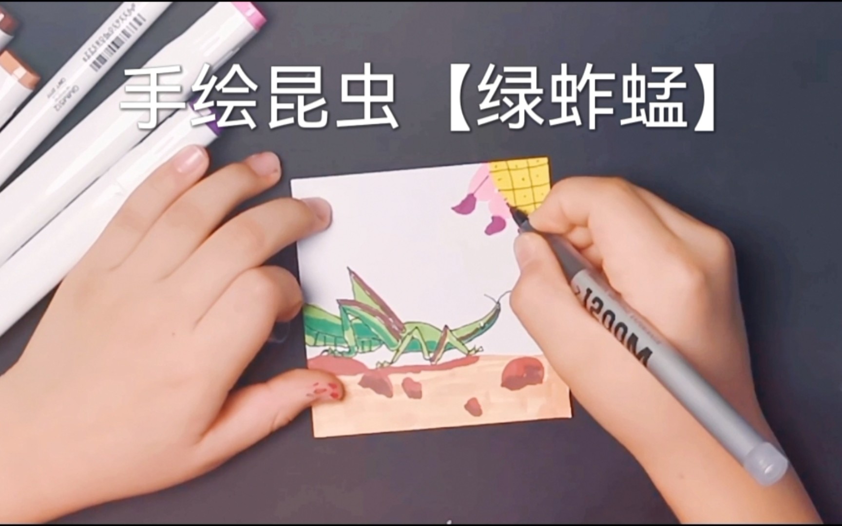 手绘昆虫【绿蚱蜢】_哔哩哔哩_bilibili