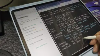 Download Video: 12.9英寸的大屏，写笔记和练字、画画是真嗨皮，还好没买11寸！