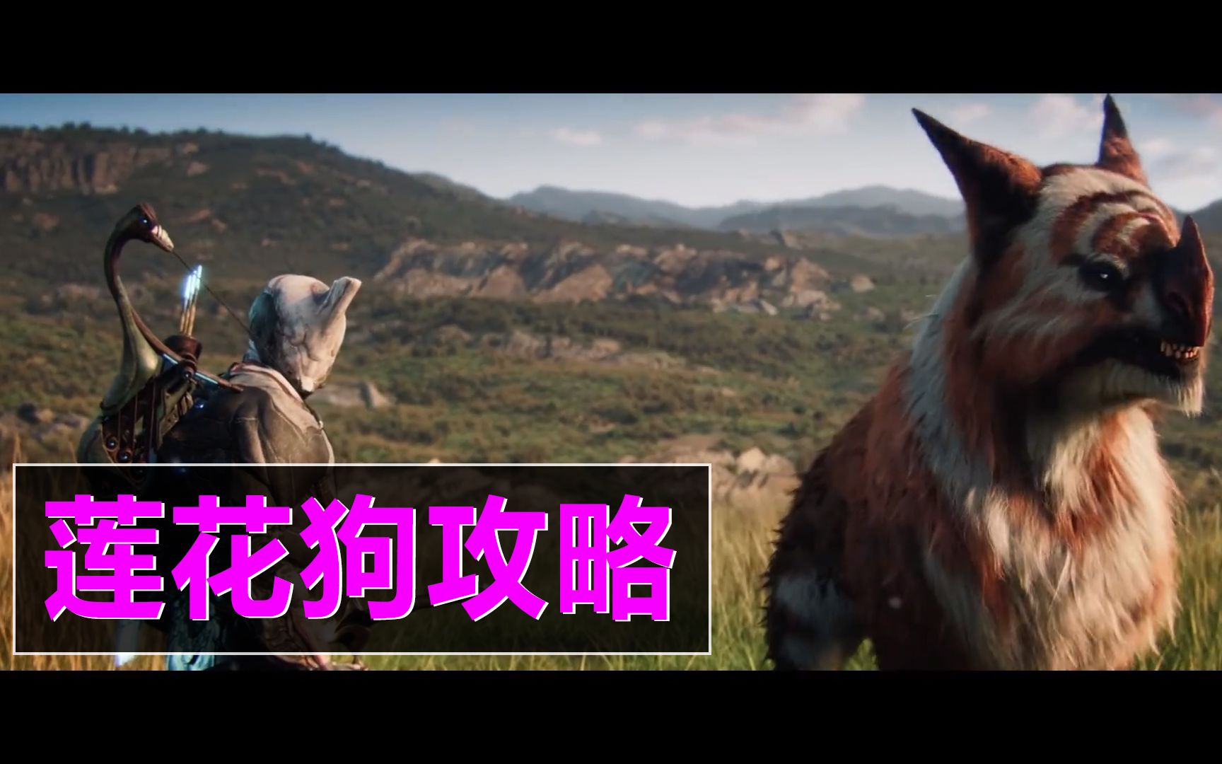 星际战甲咸鱼莲花狗子详细攻略