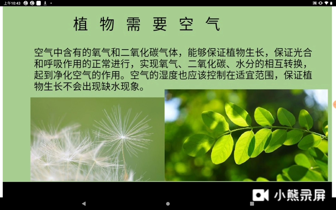 植物的生长需要什么?哔哩哔哩bilibili