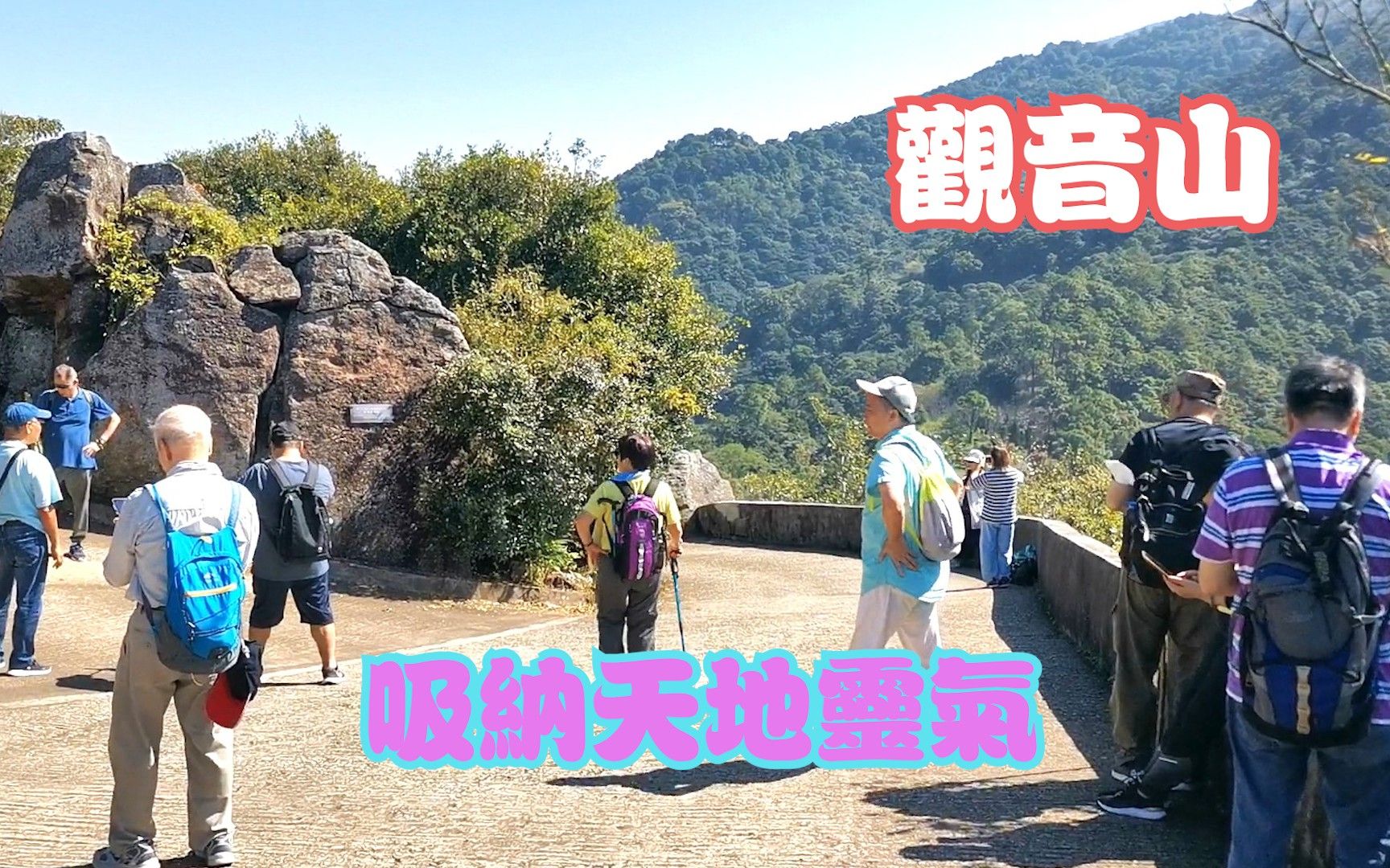 大埔区【观音山】【嘉道理农场暨植物园】【兄弟纪念亭】打卡点哔哩哔哩bilibili