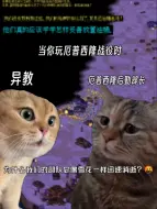 Download Video: 心灵终结：当你玩厄普西隆战役be like