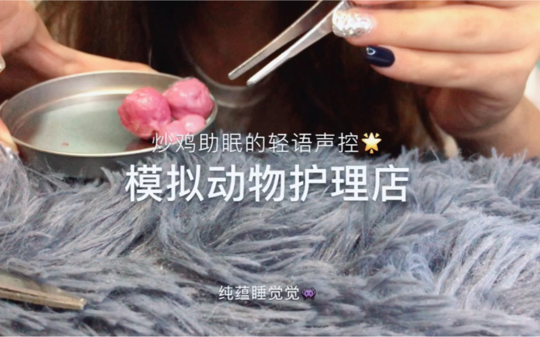 【纯蕴助眠】动物美容护理店～超舒适清理毛发声控_哔哩哔哩_bilibili