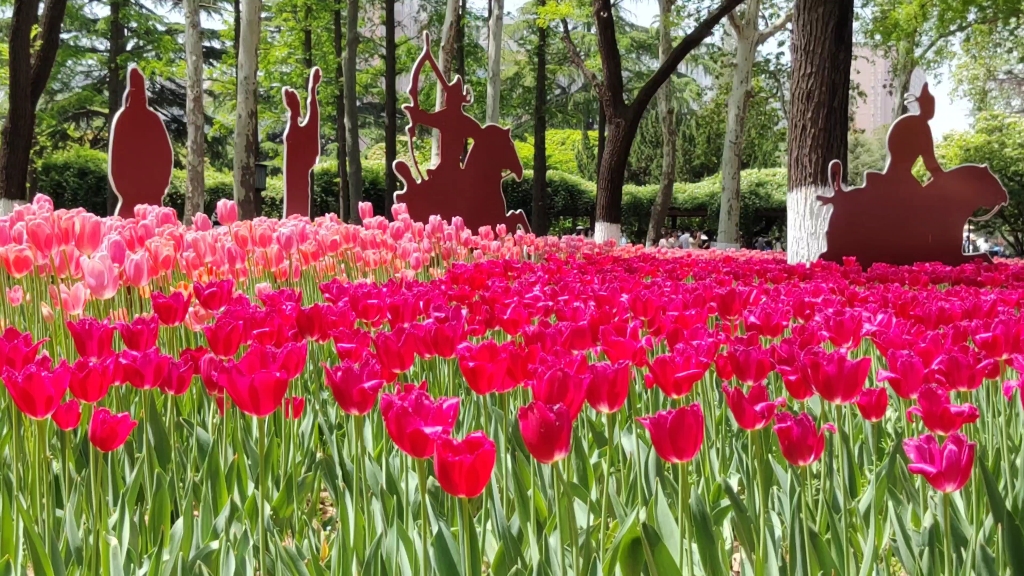 西安兴庆宫公园第29届郁金香花展