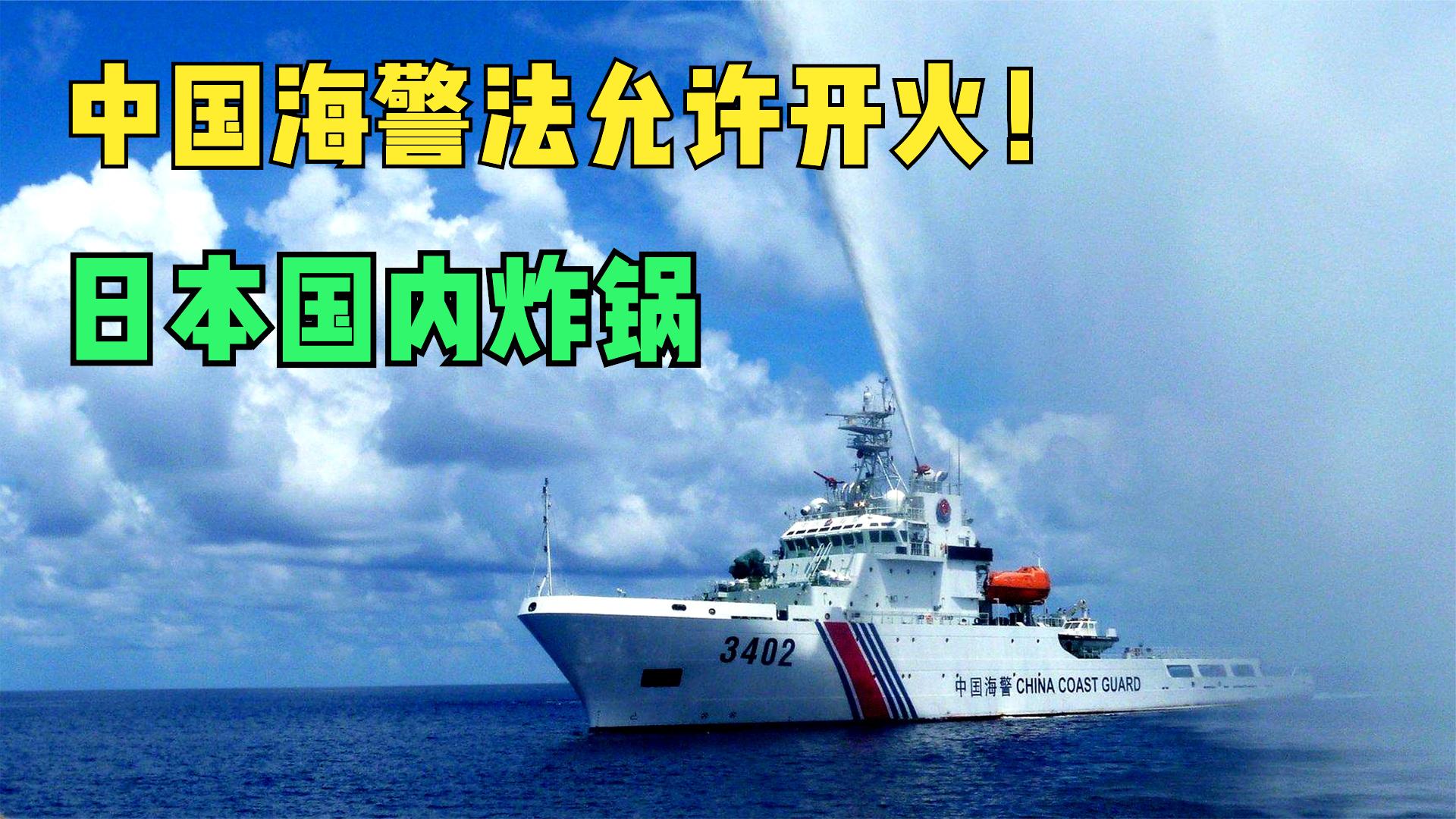 中国海警法刚允许开火!日本议员还想往“枪口撞”,该如何回击?哔哩哔哩bilibili