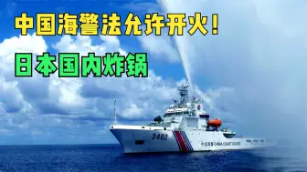 Descargar video: 中国海警法刚允许开火！日本议员还想往“枪口撞”，该如何回击？