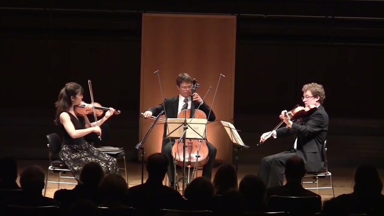 [图]巴赫 哥德堡变奏曲 -弦乐三重奏版 | J.S.Bach BWV 988 - Goldberg Variations for String Trio