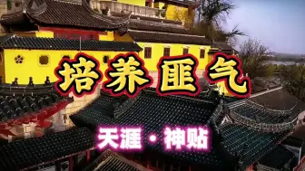 下载视频: 天涯神贴“培养匪气”