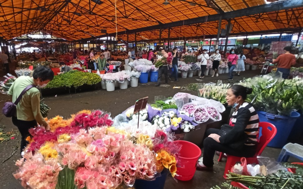 [图]实拍广州最大花卉市场，这的花卖得有多便宜？看到价格不太敢相信