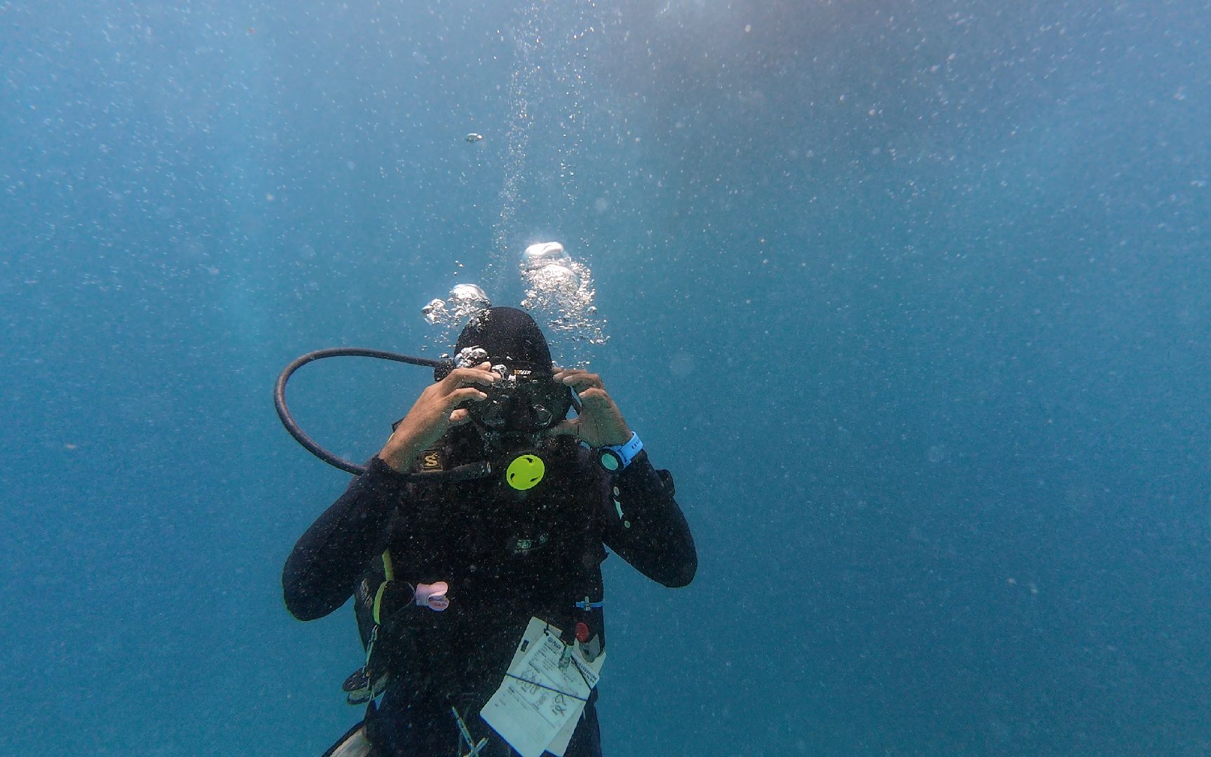 2023国庆 马来西亚仙本那 好快乐的潜水～～～～～哟!