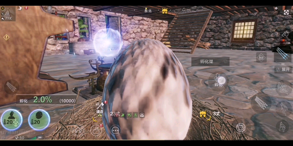 妄想山海百年资质水虎鱼资质一览