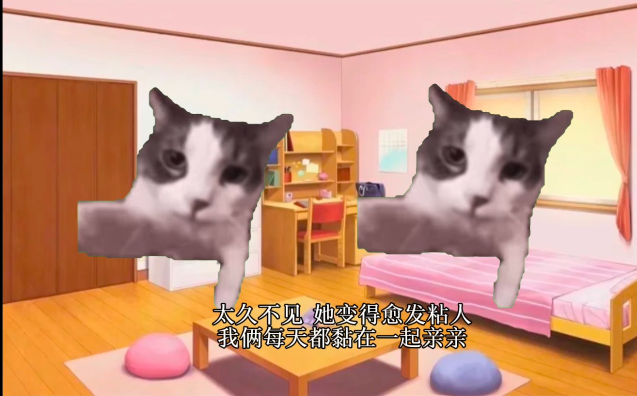 [图]【猫meme】用猫meme做了我和小猫的故事，感谢小猫出现在我的生命里！！猫门！！！！