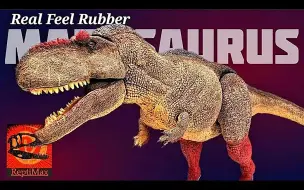 Video herunterladen: 2023 年巨大的 Reptimax 真实感觉 马普龙 评论！！！