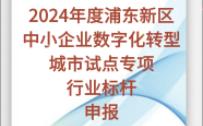 关于开展2024年度浦东新区中小企业数字化转型城市试点专项(行业标杆)申报工作的通知哔哩哔哩bilibili