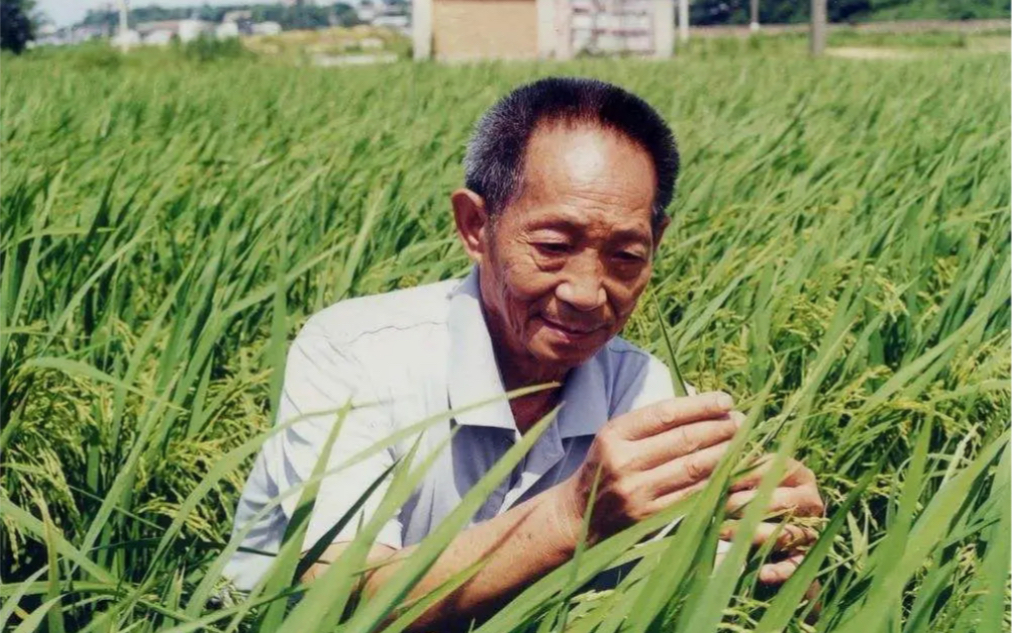 袁隆平爷爷首次回应“吃太饱了表情包”哔哩哔哩bilibili