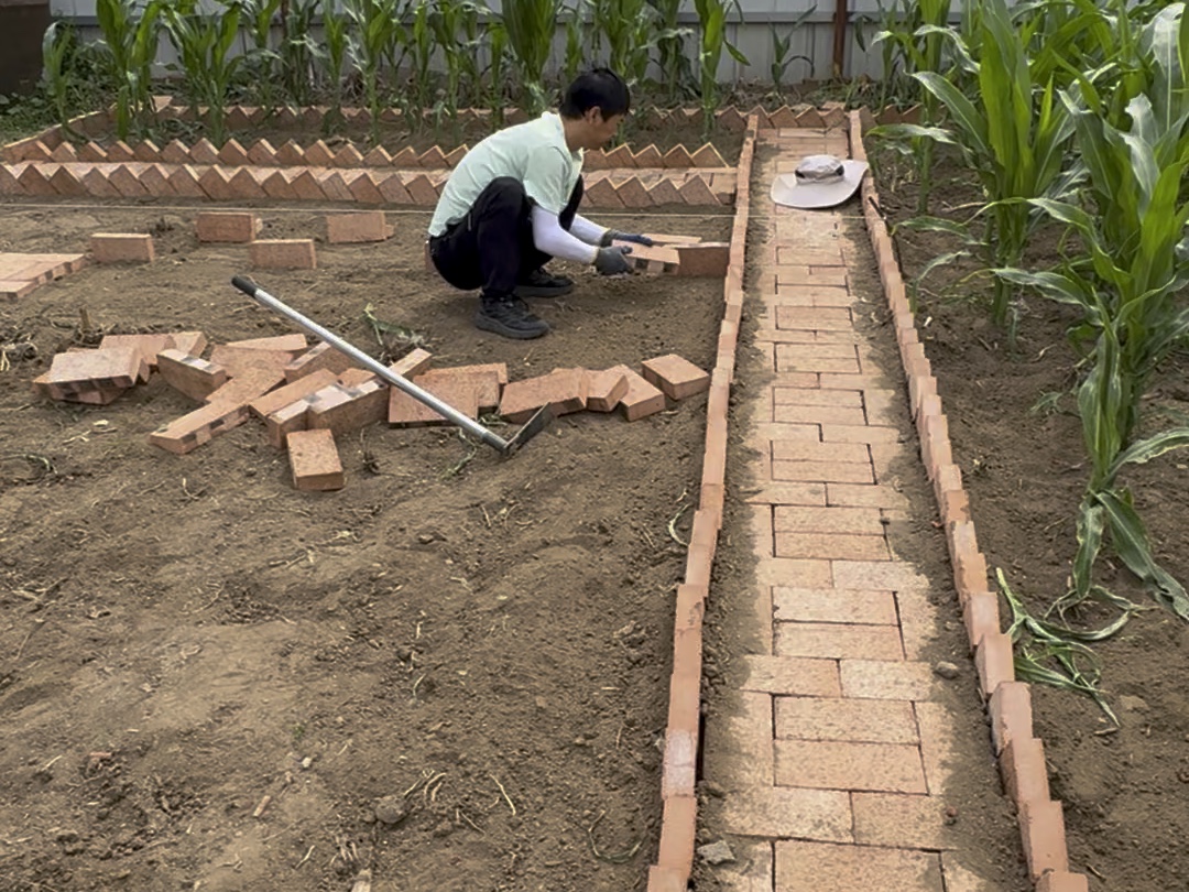 改造农村小院的一天