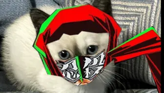 老大，ninja slayer desu喵