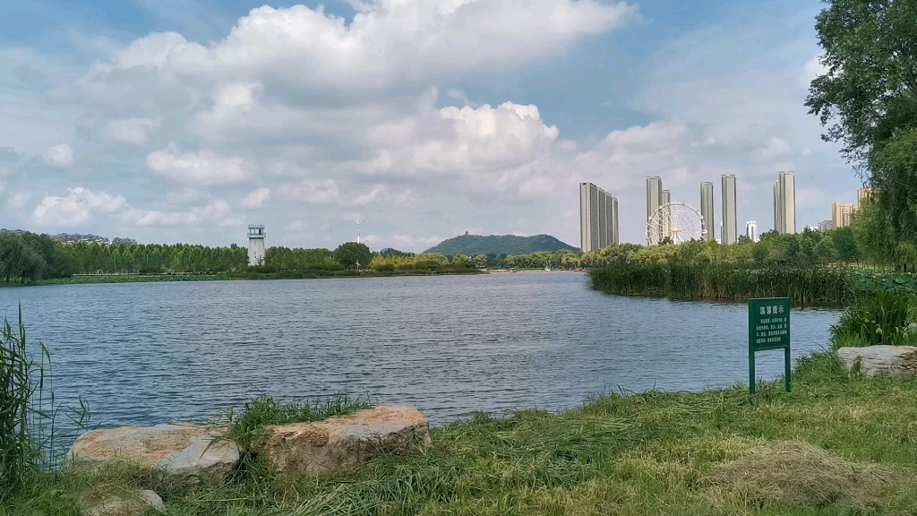 美丽的临沂莒南鸡龙河湿地公园