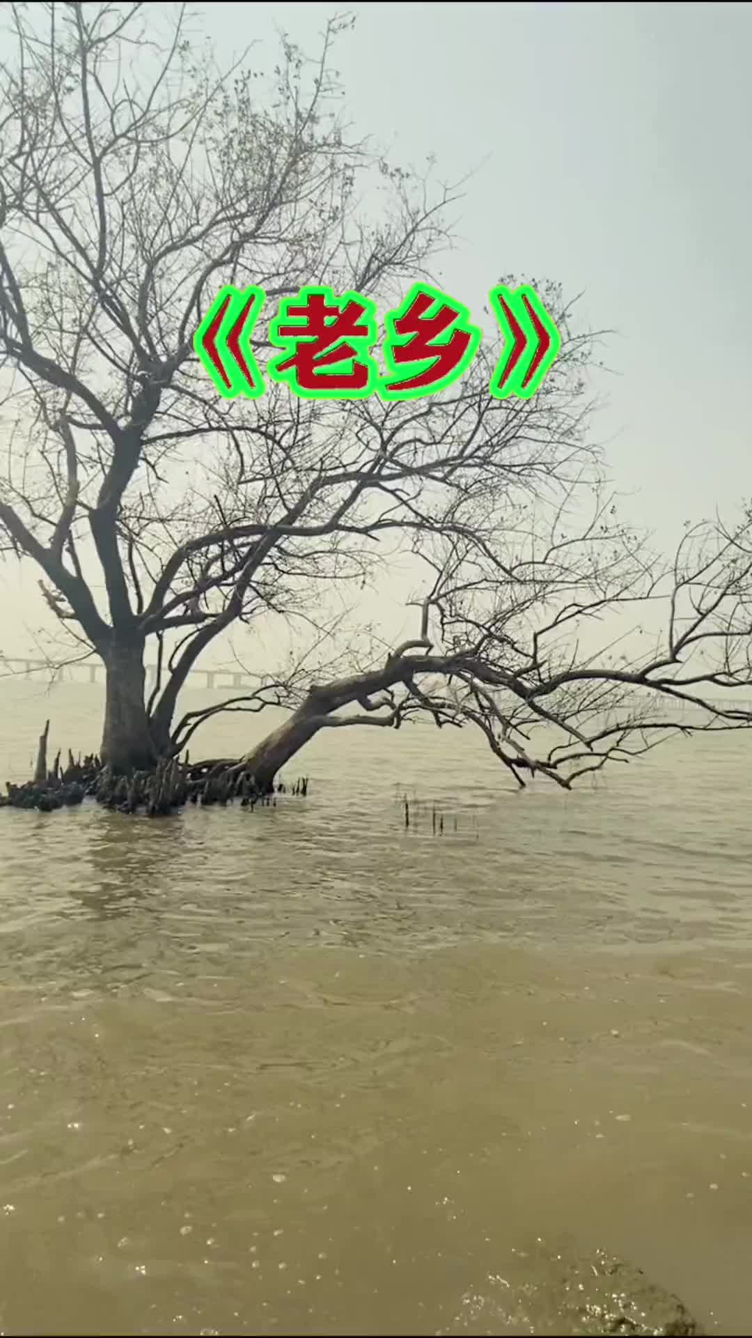 老乡见老乡两眼泪玩玩经典老歌故乡