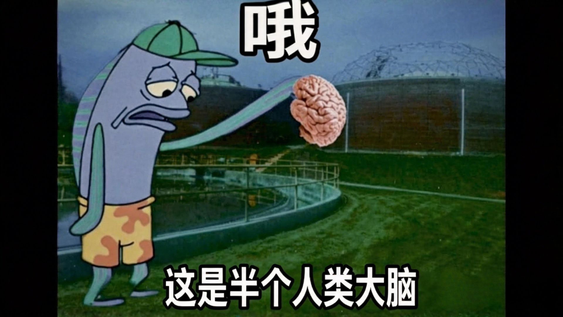 这些梗图背后的恐怖真实事件