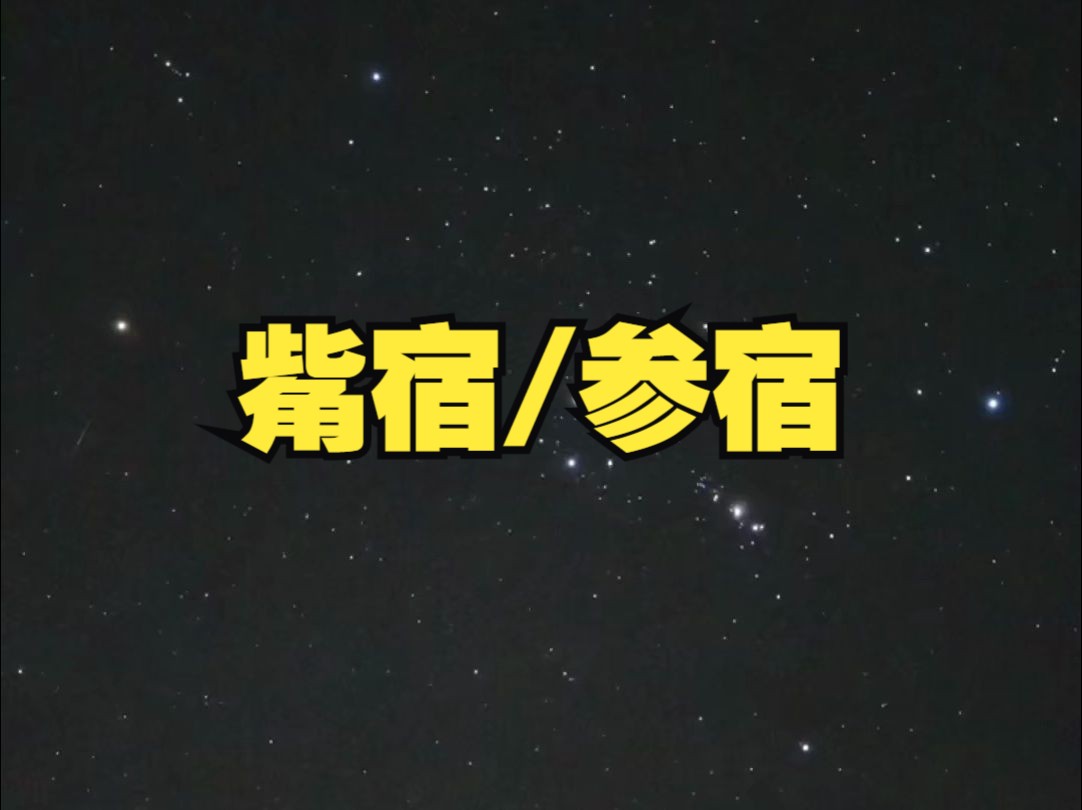 参宿和觜宿,星空中的白虎之象,壮丽迷人的天区哔哩哔哩bilibili