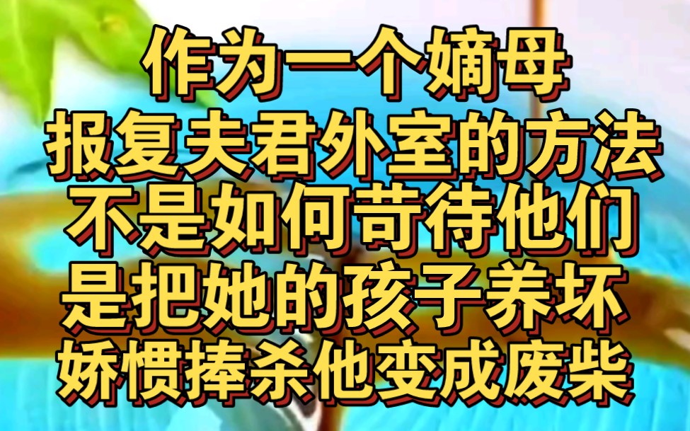 作为嫡母,报复假死夫君和外室最好的方法,是娇惯捧杀他们孩子哔哩哔哩bilibili