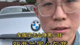 Download Video: 他想了个办法骗人这是美女一手车