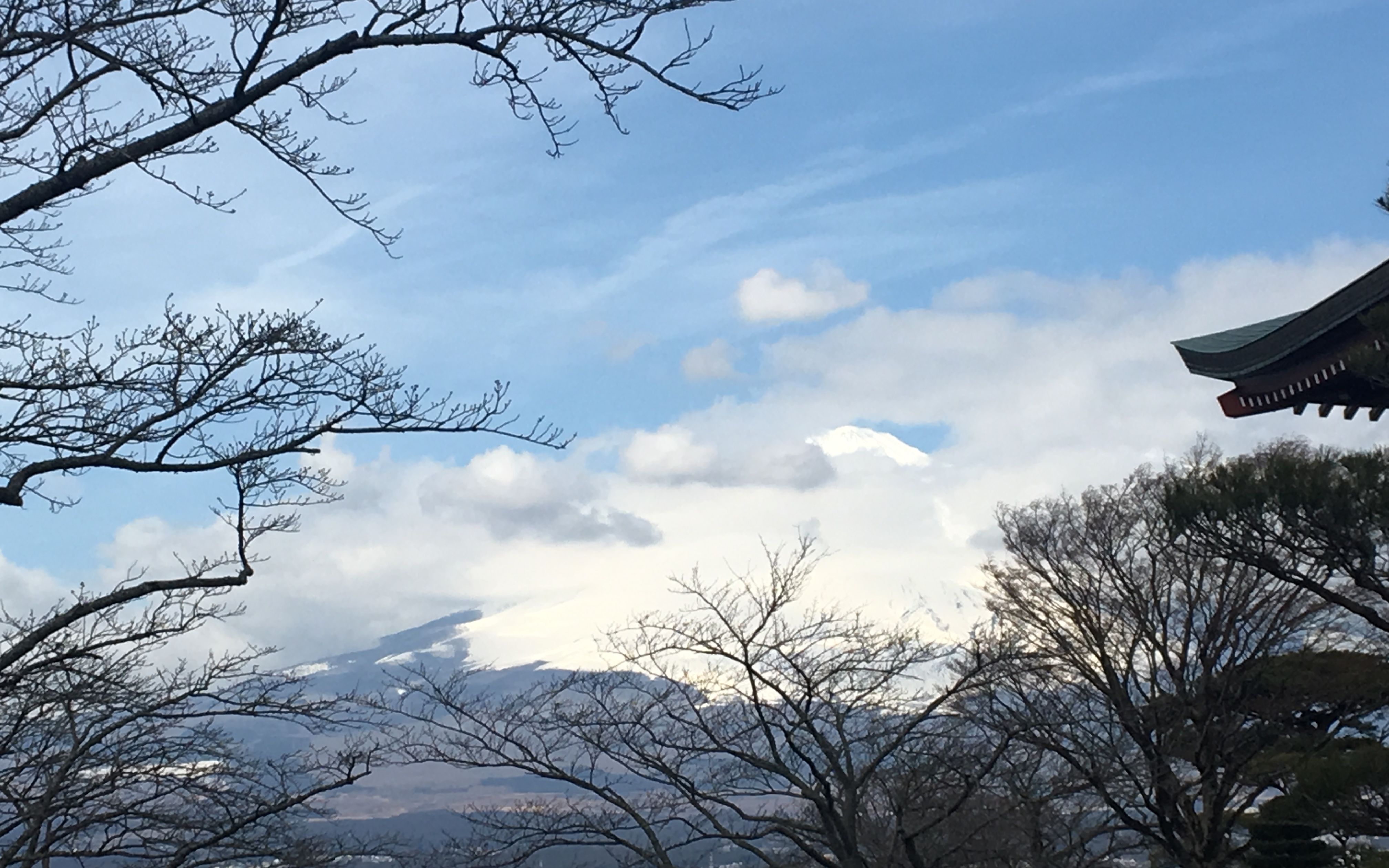 [图]【VLOG】2017 2.25 浮光掠影，名古屋富士山东京五日，樱花季来临前的匆匆一瞥