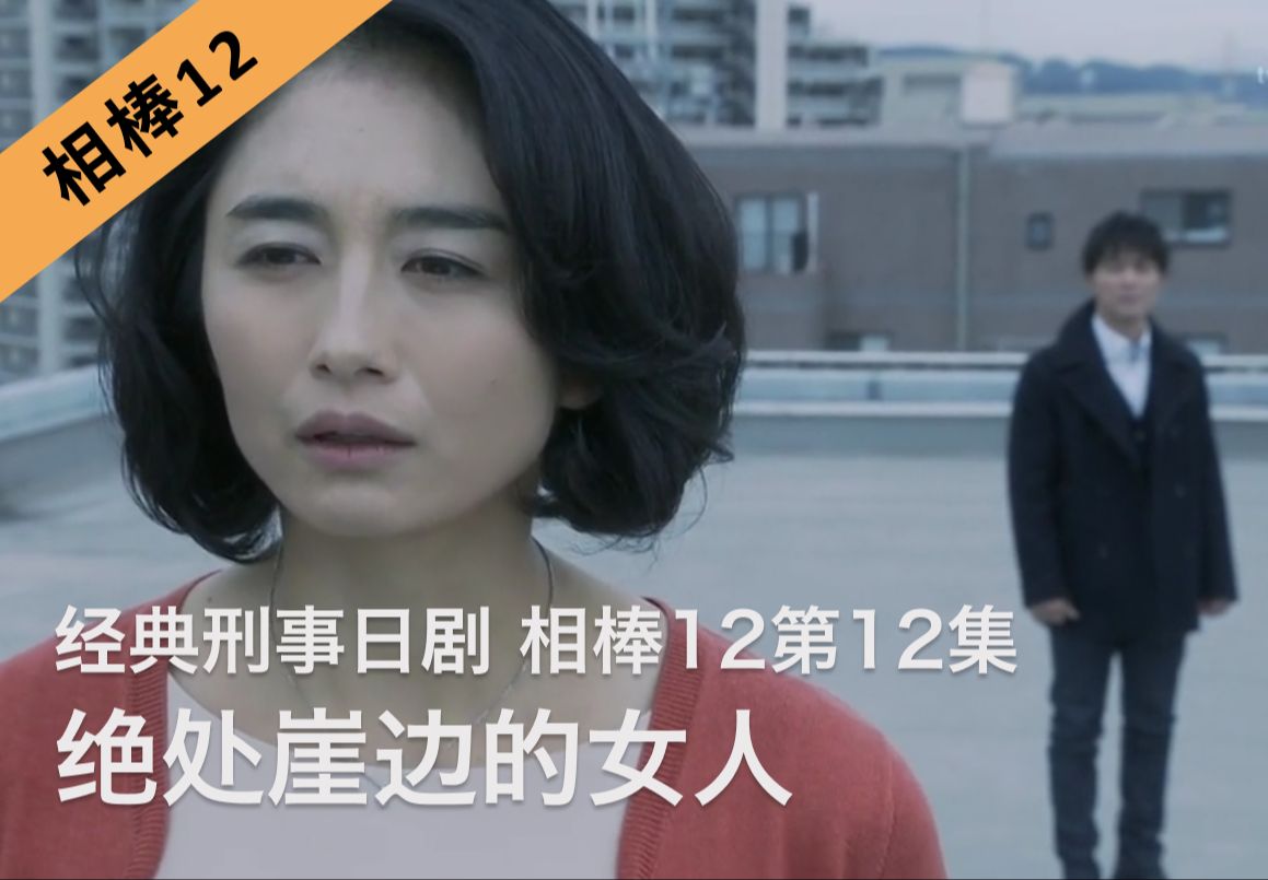 刑事推理日剧《相棒12》第12集|绝处崖边的女人哔哩哔哩bilibili