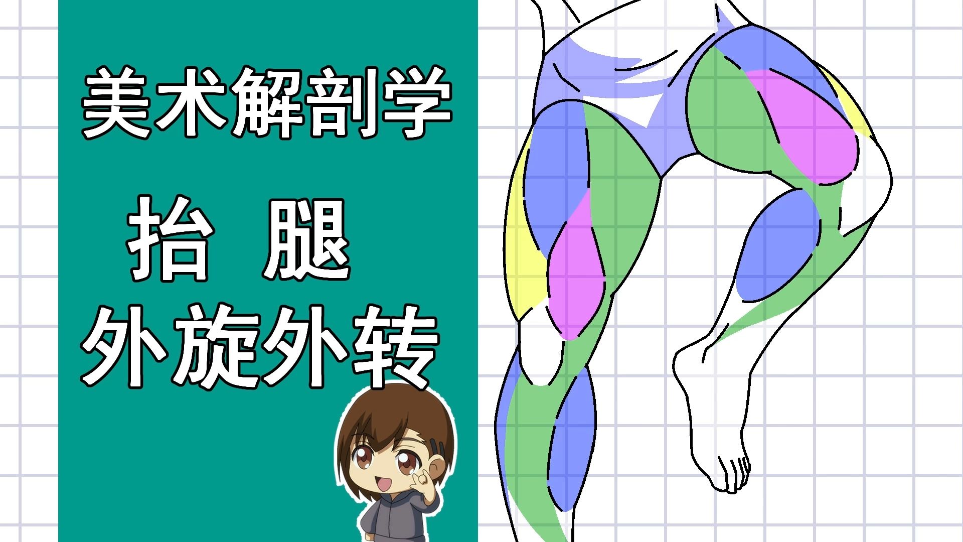美术解剖学-66-练习抬腿外旋外转