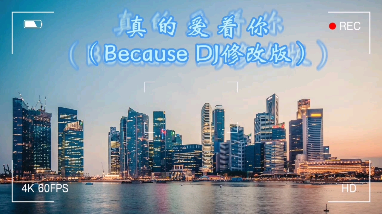 [图]Because DJ车载乐Electro单曲-真的爱着你（Because DJ修改版）