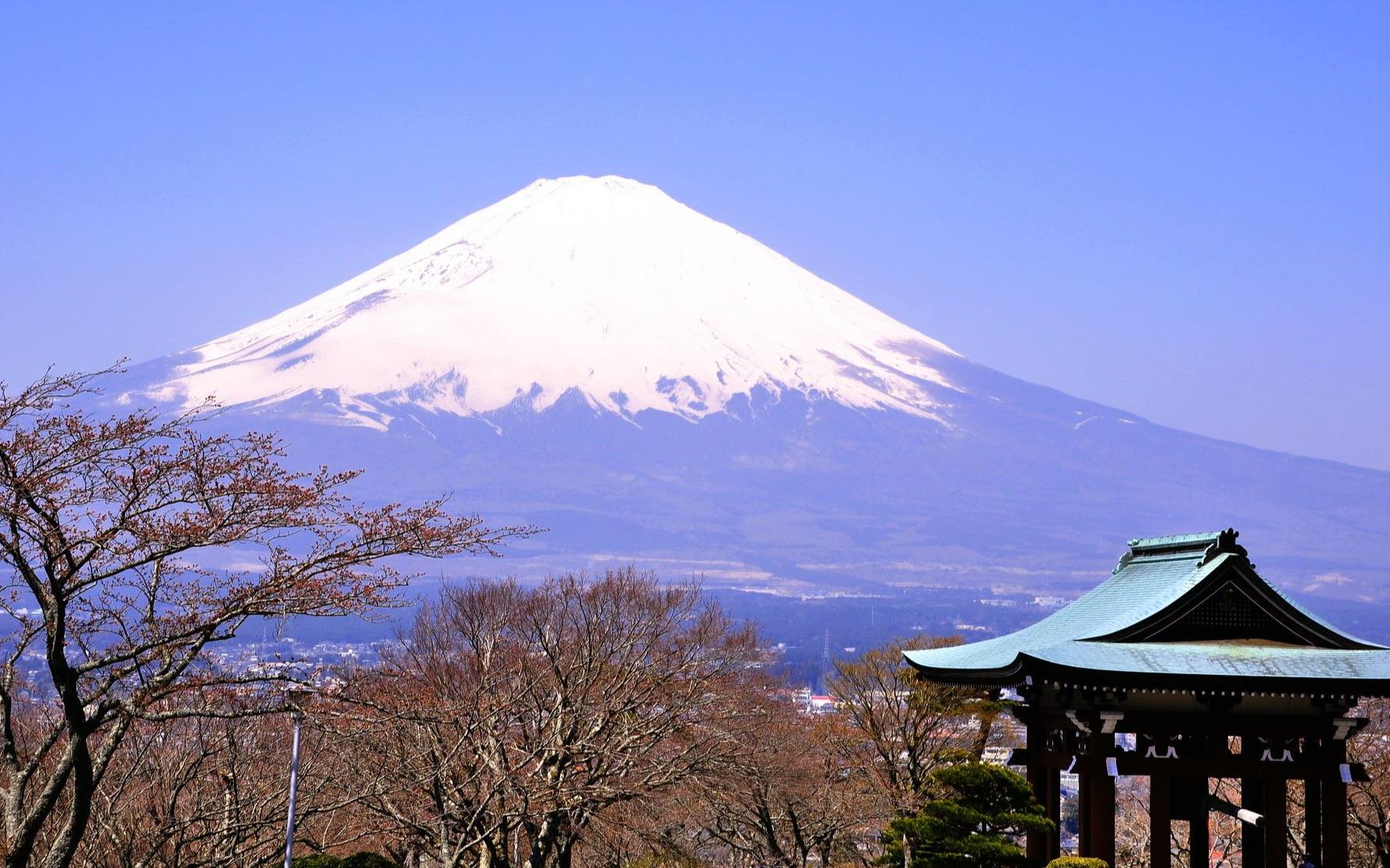 想学日语先50音开始日语小白到大神的开始再续