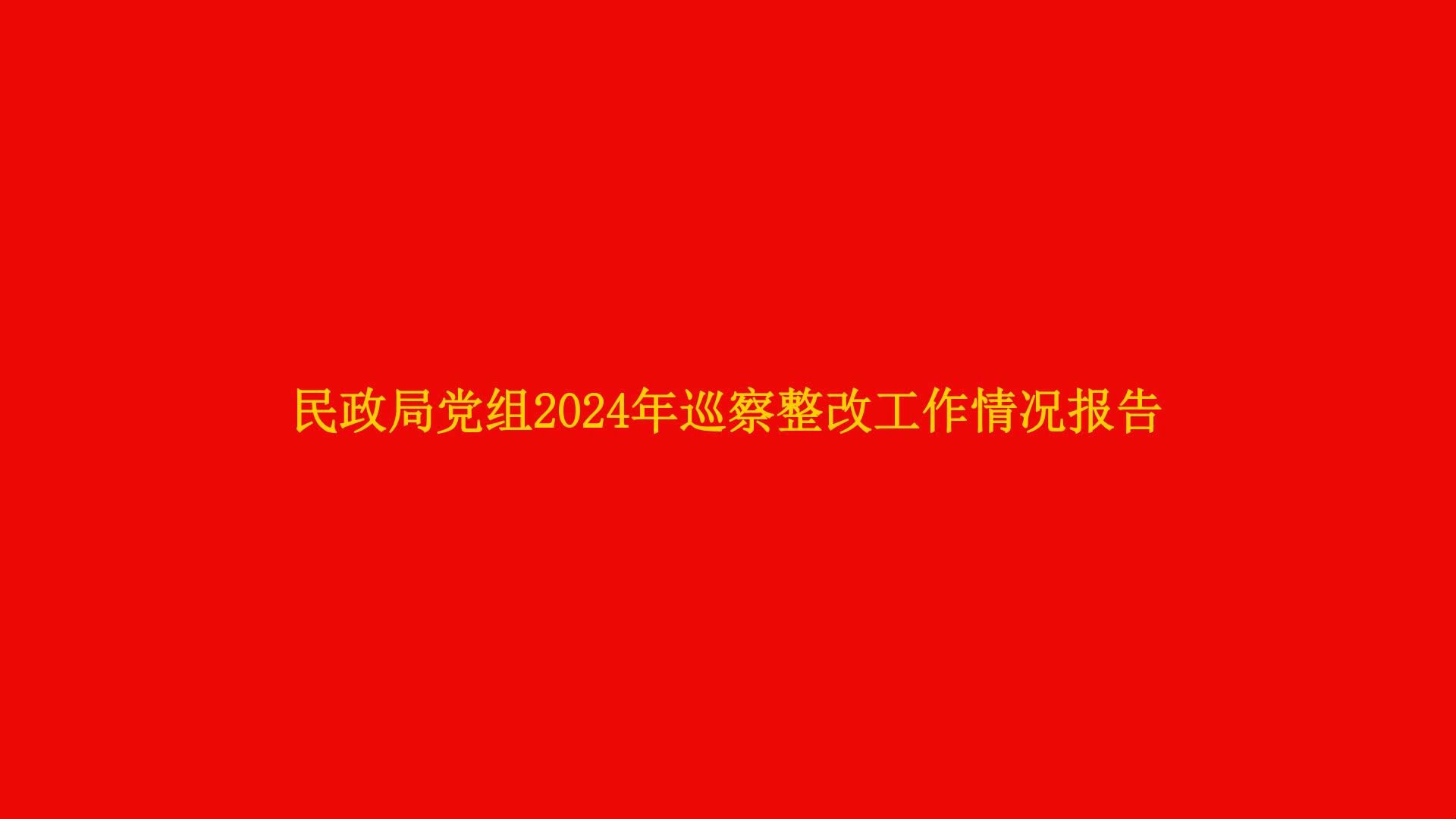 民政局党组2024年巡察整改工作情况报告哔哩哔哩bilibili