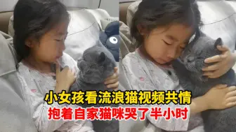 Tải video: 小女孩看流浪猫视频共情，抱着自家猫咪哭了半小时，“她怀中的猫咪曾经也是只流浪猫”